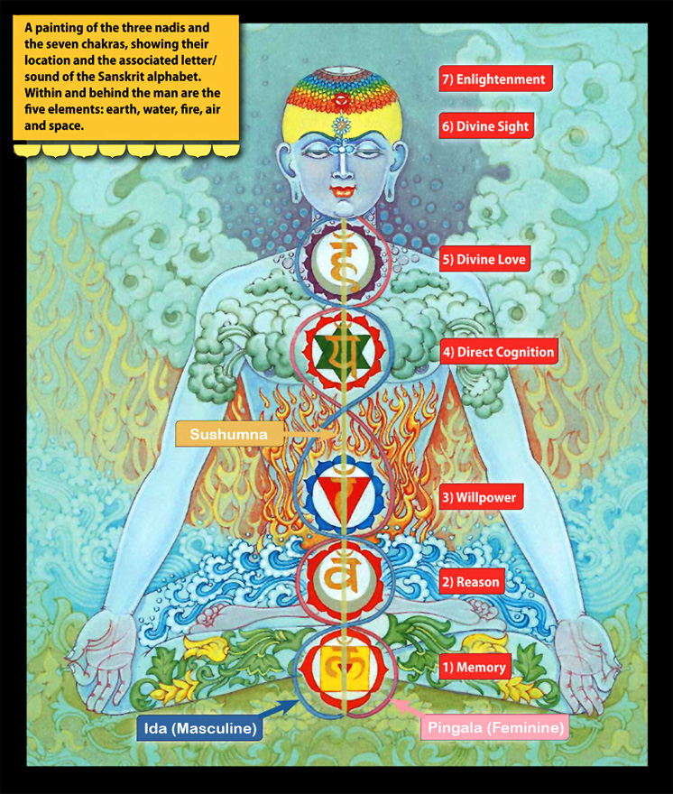 Sushumna and Liberation